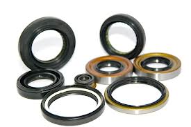 OIL SEALS